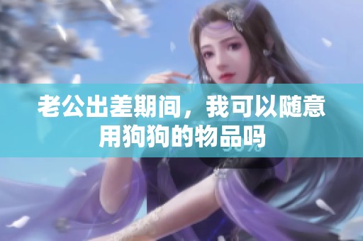 老公出差期间，我可以随意用狗狗的物品吗