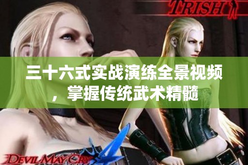 三十六式实战演练全景视频，掌握传统武术精髓