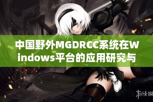 中国野外MGDRCC系统在Windows平台的应用研究与探索