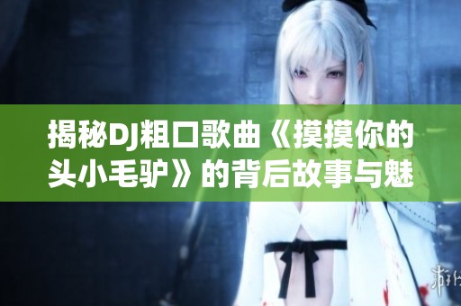 揭秘DJ粗口歌曲《摸摸你的头小毛驴》的背后故事与魅力