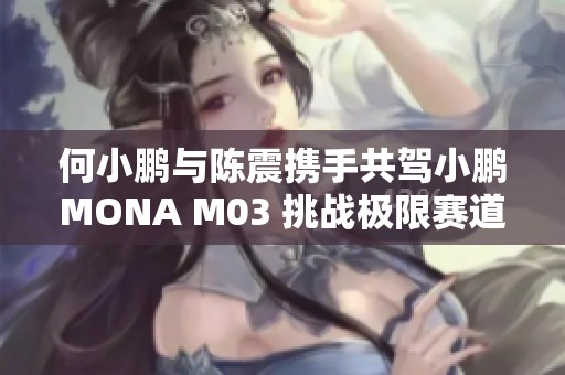 何小鹏与陈震携手共驾小鹏MONA M03 挑战极限赛道