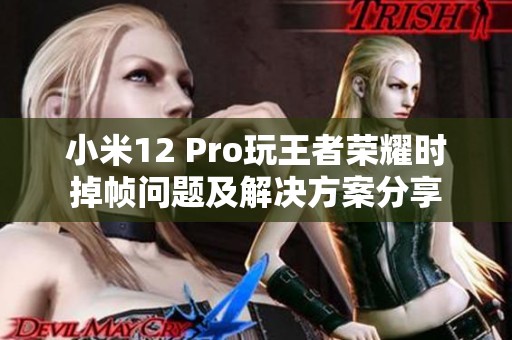 小米12 Pro玩王者荣耀时掉帧问题及解决方案分享