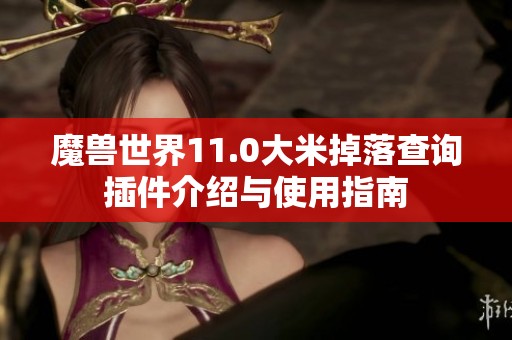 魔兽世界11.0大米掉落查询插件介绍与使用指南