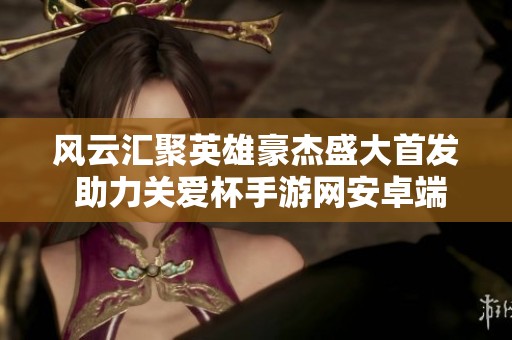 风云汇聚英雄豪杰盛大首发 助力关爱杯手游网安卓端活动