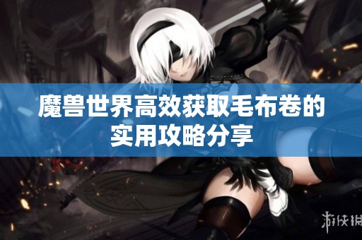 魔兽世界高效获取毛布卷的实用攻略分享