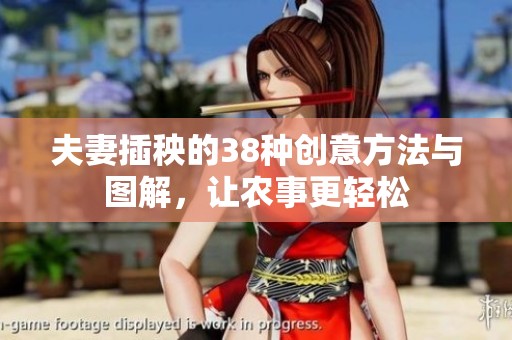 夫妻插秧的38种创意方法与图解，让农事更轻松