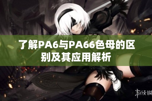了解PA6与PA66色母的区别及其应用解析