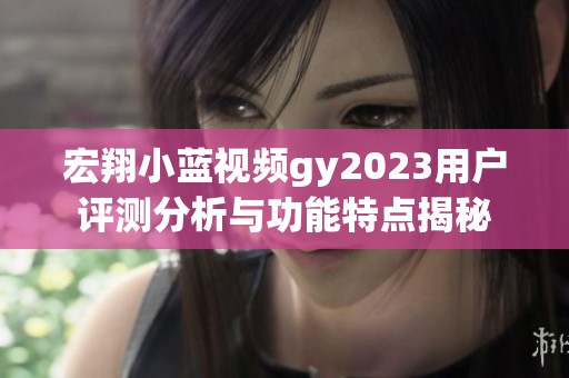宏翔小蓝视频gy2023用户评测分析与功能特点揭秘