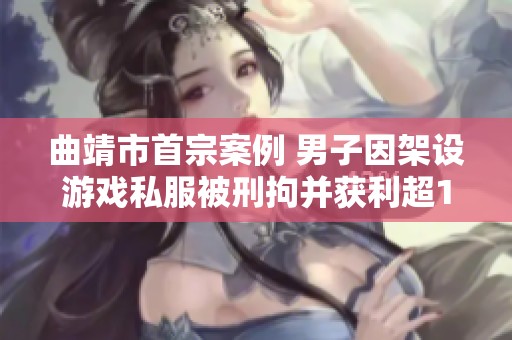 曲靖市首宗案例 男子因架设游戏私服被刑拘并获利超13万