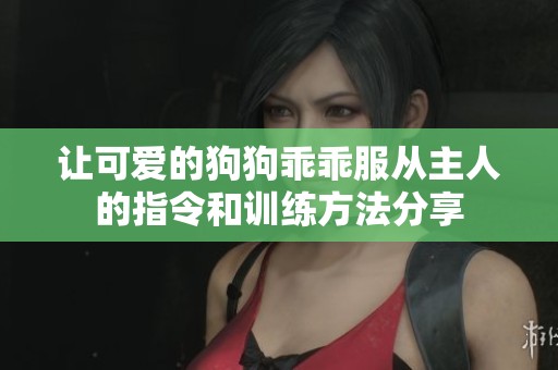 让可爱的狗狗乖乖服从主人的指令和训练方法分享