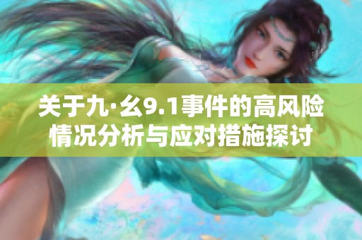 关于九·幺9.1事件的高风险情况分析与应对措施探讨