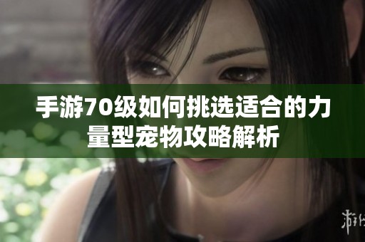 手游70级如何挑选适合的力量型宠物攻略解析