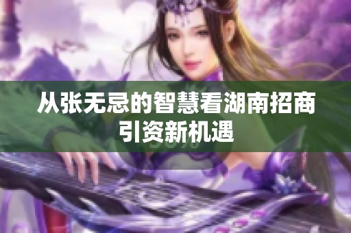 从张无忌的智慧看湖南招商引资新机遇