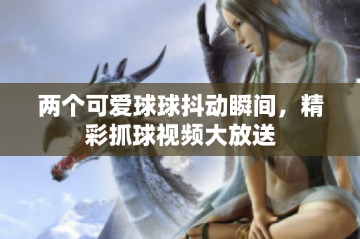 两个可爱球球抖动瞬间，精彩抓球视频大放送