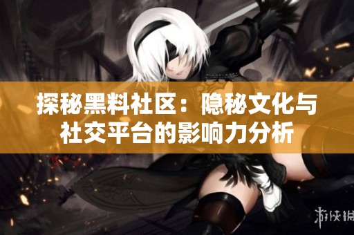 探秘黑料社区：隐秘文化与社交平台的影响力分析