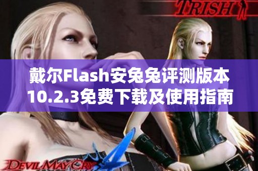 戴尔Flash安兔兔评测版本10.2.3免费下载及使用指南