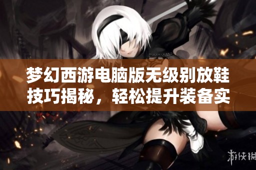 梦幻西游电脑版无级别放鞋技巧揭秘，轻松提升装备实力