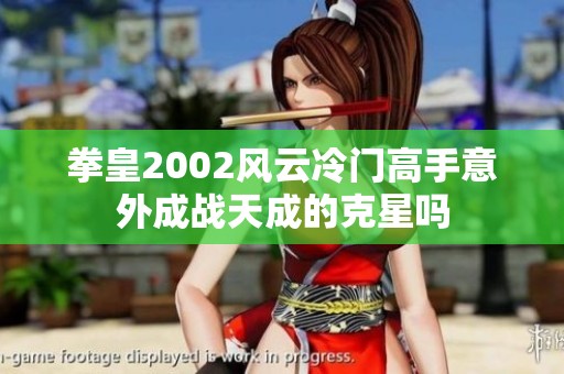 拳皇2002风云冷门高手意外成战天成的克星吗