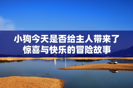 小狗今天是否给主人带来了惊喜与快乐的冒险故事