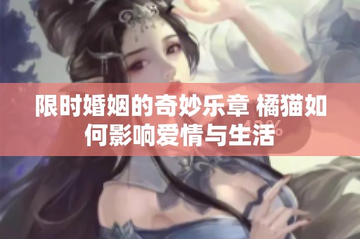 限时婚姻的奇妙乐章 橘猫如何影响爱情与生活