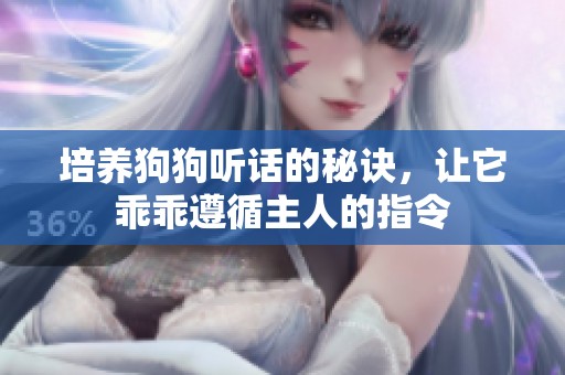 培养狗狗听话的秘诀，让它乖乖遵循主人的指令