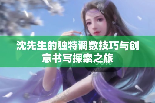 沈先生的独特调数技巧与创意书写探索之旅