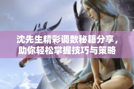 沈先生精彩调数秘籍分享，助你轻松掌握技巧与策略