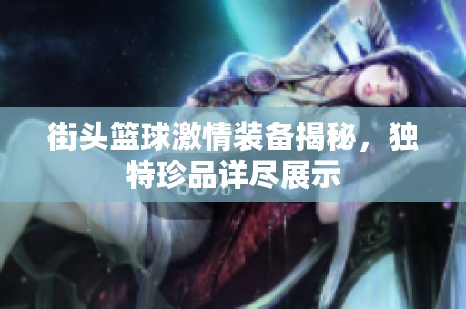 街头篮球激情装备揭秘，独特珍品详尽展示