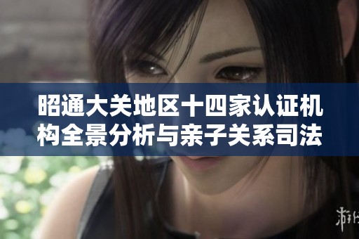 昭通大关地区十四家认证机构全景分析与亲子关系司法检验证明探索