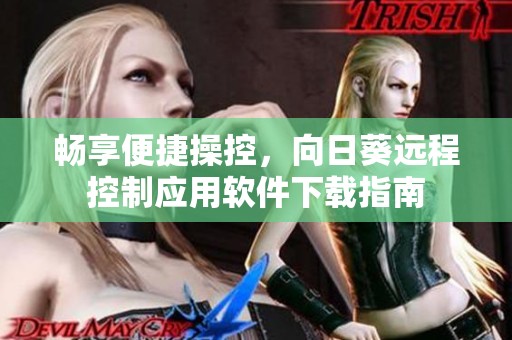 畅享便捷操控，向日葵远程控制应用软件下载指南