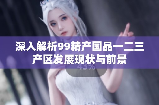 深入解析99精产国品一二三产区发展现状与前景