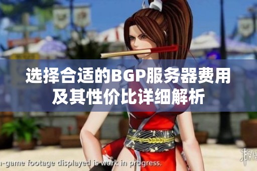 选择合适的BGP服务器费用及其性价比详细解析