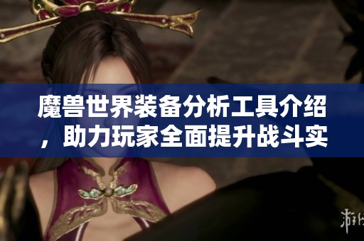 魔兽世界装备分析工具介绍，助力玩家全面提升战斗实力