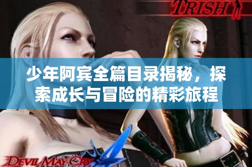 少年阿宾全篇目录揭秘，探索成长与冒险的精彩旅程