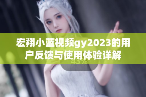 宏翔小蓝视频gy2023的用户反馈与使用体验详解