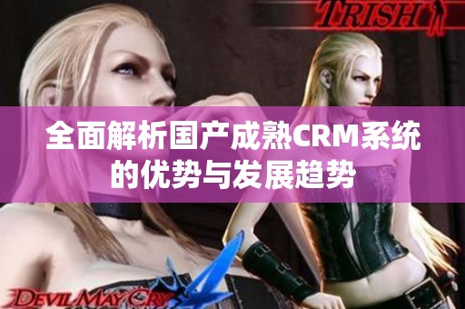 全面解析国产成熟CRM系统的优势与发展趋势