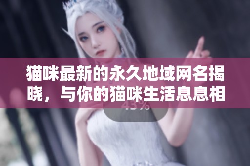 猫咪最新的永久地域网名揭晓，与你的猫咪生活息息相关