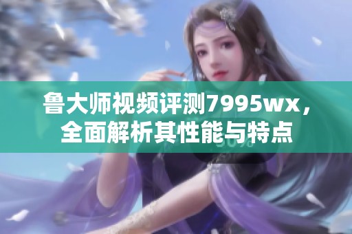 鲁大师视频评测7995wx，全面解析其性能与特点