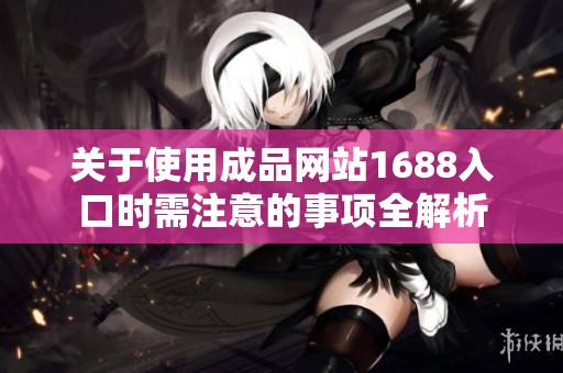 关于使用成品网站1688入口时需注意的事项全解析