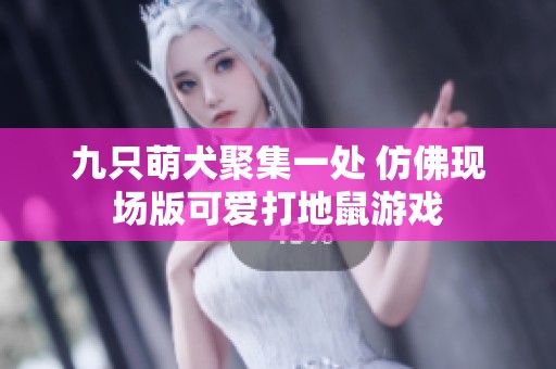 九只萌犬聚集一处 仿佛现场版可爱打地鼠游戏