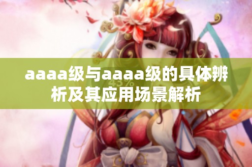 aaaa级与aaaa级的具体辨析及其应用场景解析