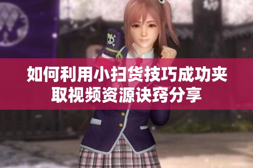 如何利用小扫货技巧成功夹取视频资源诀窍分享