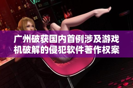 广州破获国内首例涉及游戏机破解的侵犯软件著作权案件