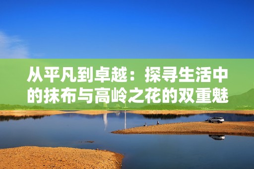 从平凡到卓越：探寻生活中的抹布与高岭之花的双重魅力