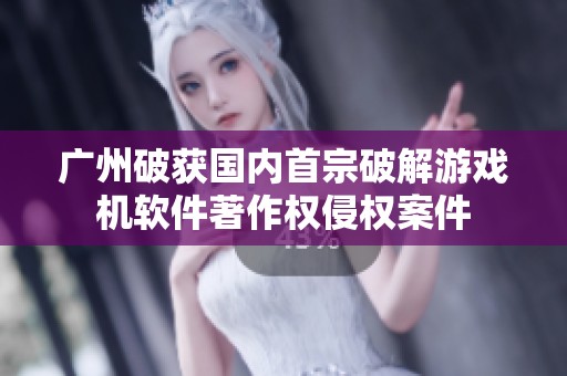 广州破获国内首宗破解游戏机软件著作权侵权案件