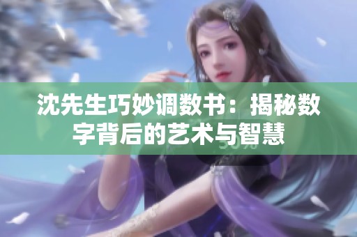 沈先生巧妙调数书：揭秘数字背后的艺术与智慧