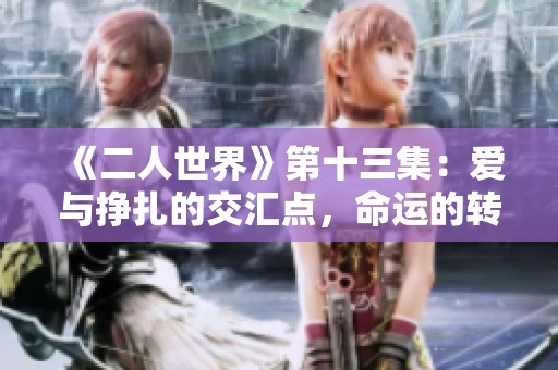 《二人世界》第十三集：爱与挣扎的交汇点，命运的转折之旅