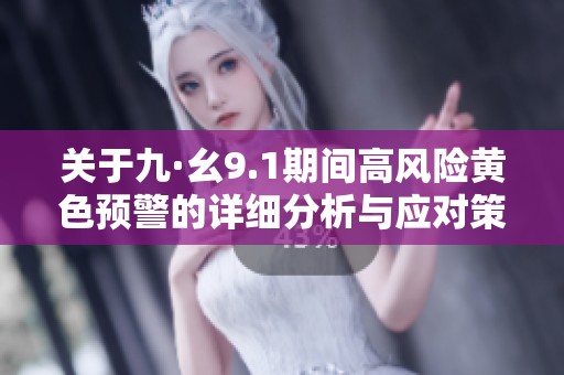 关于九·幺9.1期间高风险黄色预警的详细分析与应对策略