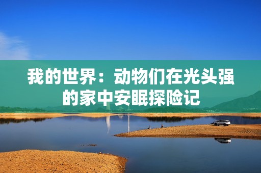 我的世界：动物们在光头强的家中安眠探险记