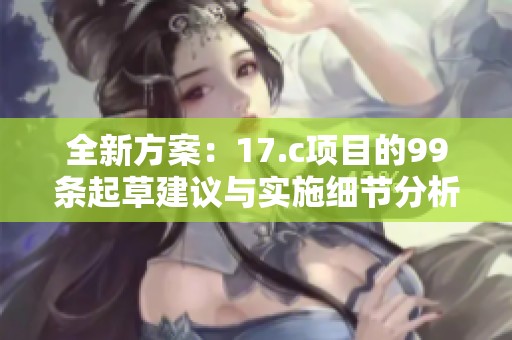 全新方案：17.c项目的99条起草建议与实施细节分析